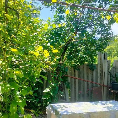Guest House Gogias Cixe Borjomi Bagian luar foto