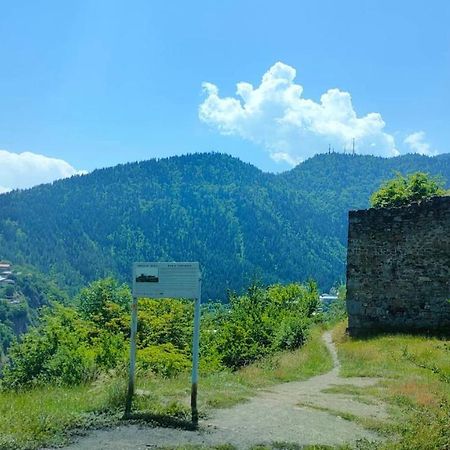 Guest House Gogias Cixe Borjomi Bagian luar foto