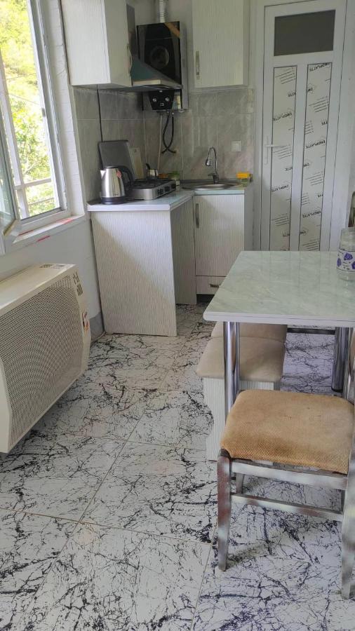 Guest House Gogias Cixe Borjomi Bagian luar foto