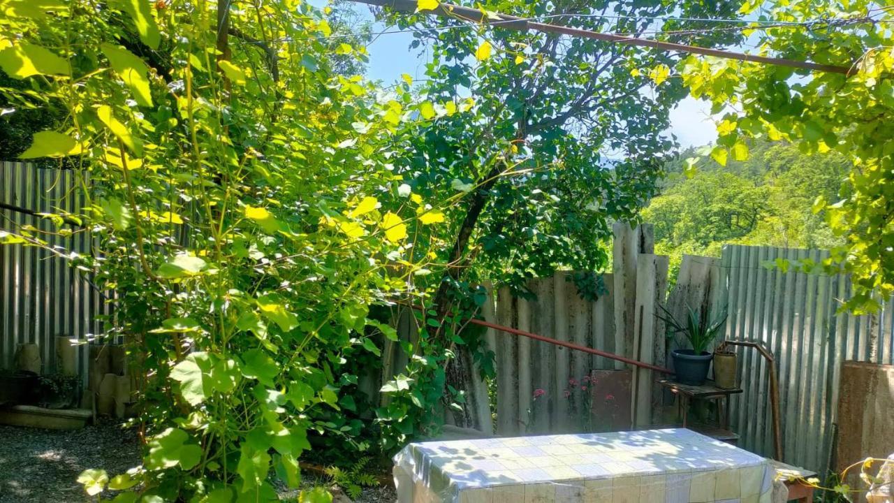 Guest House Gogias Cixe Borjomi Bagian luar foto