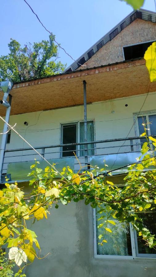 Guest House Gogias Cixe Borjomi Bagian luar foto