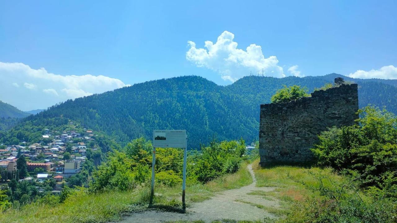 Guest House Gogias Cixe Borjomi Bagian luar foto