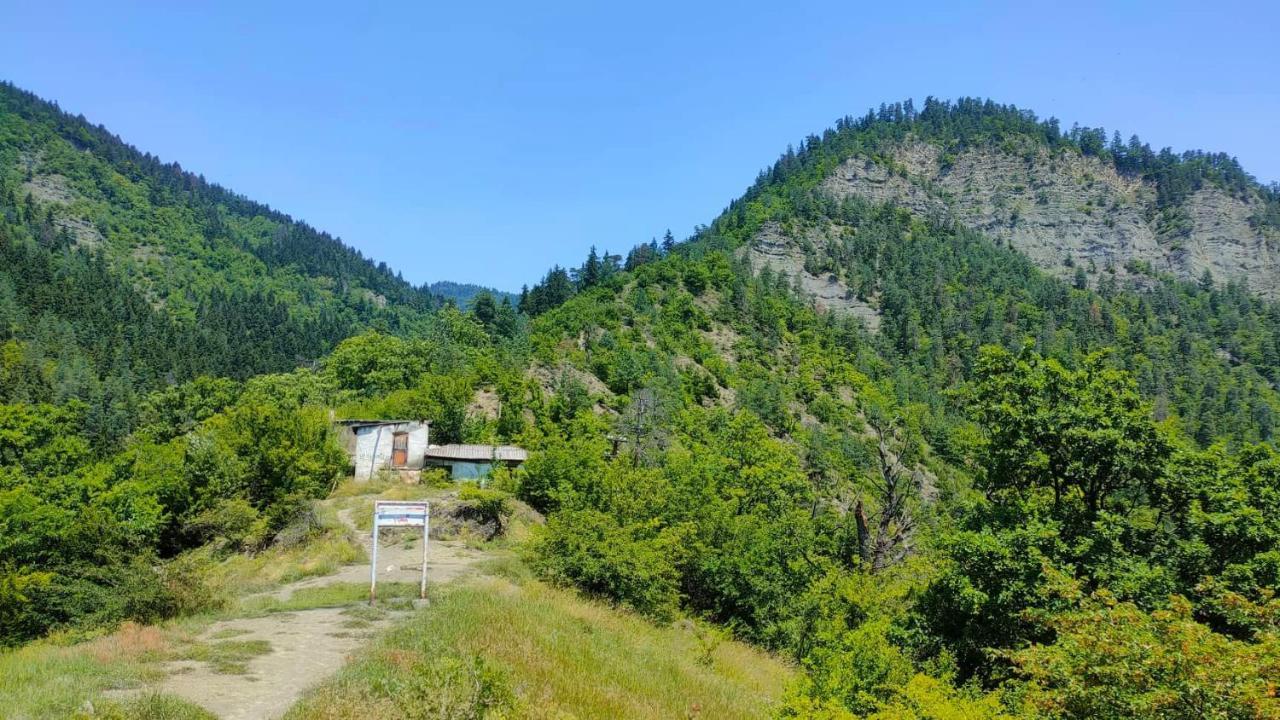 Guest House Gogias Cixe Borjomi Bagian luar foto