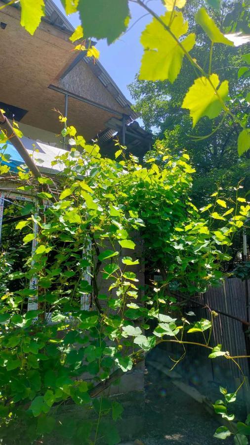 Guest House Gogias Cixe Borjomi Bagian luar foto