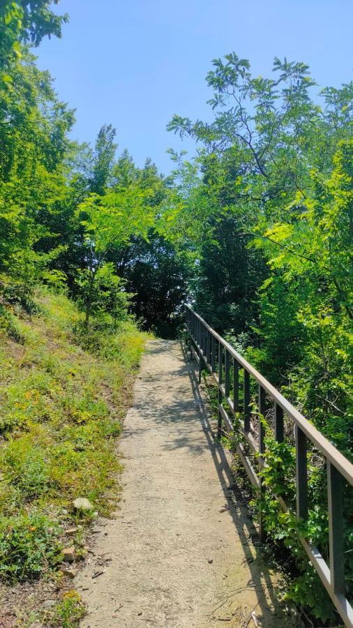 Guest House Gogias Cixe Borjomi Bagian luar foto