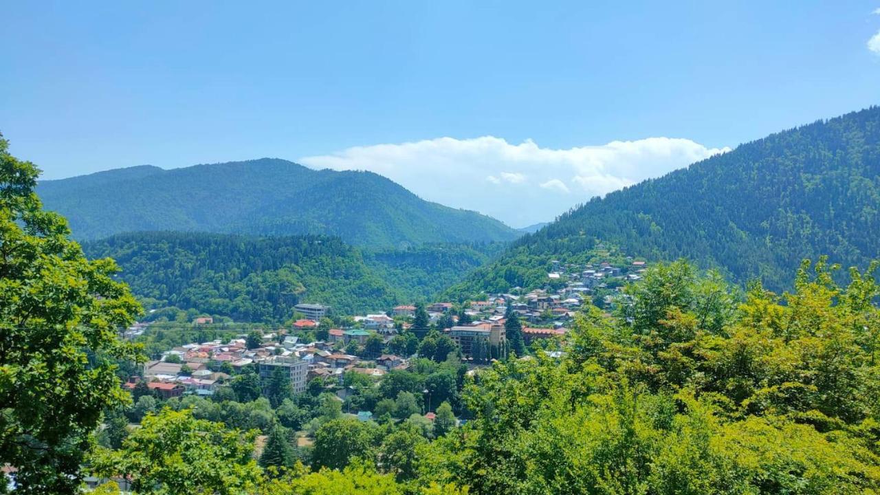 Guest House Gogias Cixe Borjomi Bagian luar foto