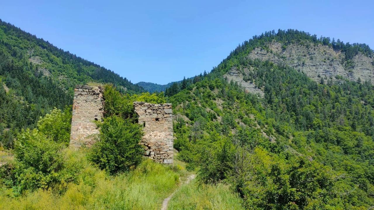 Guest House Gogias Cixe Borjomi Bagian luar foto