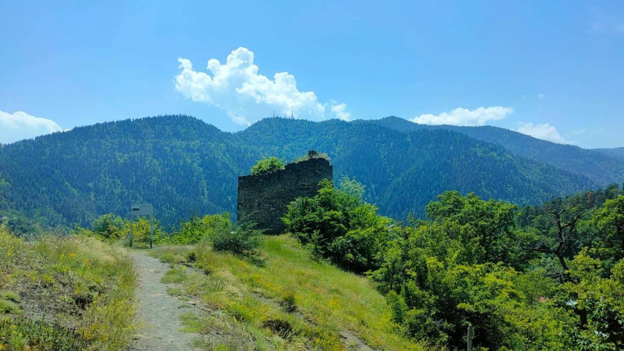 Guest House Gogias Cixe Borjomi Bagian luar foto